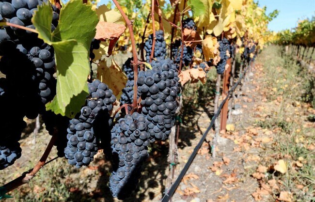 Building Photo - 201 (20300 Arnold)