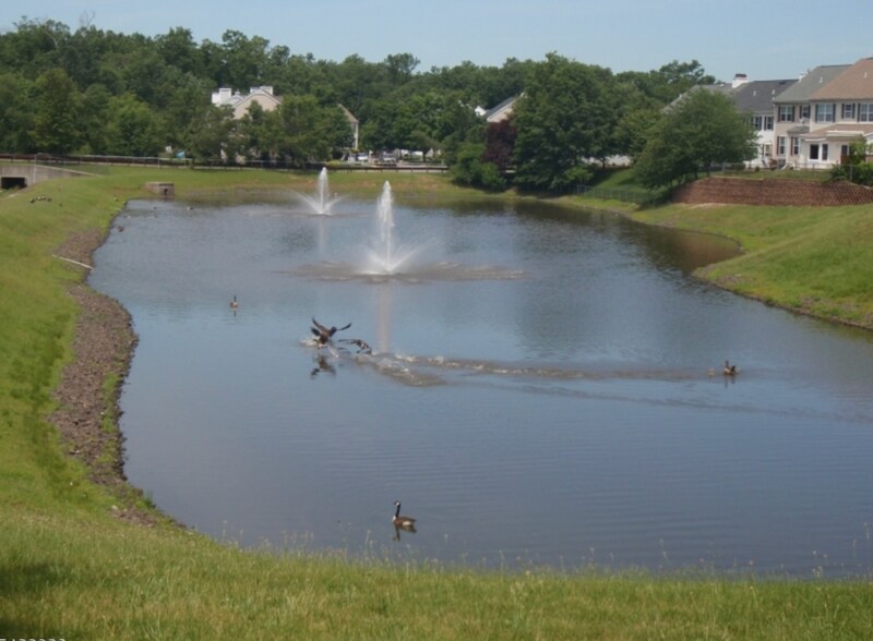 Building Photo - 204 Red Crest Ln