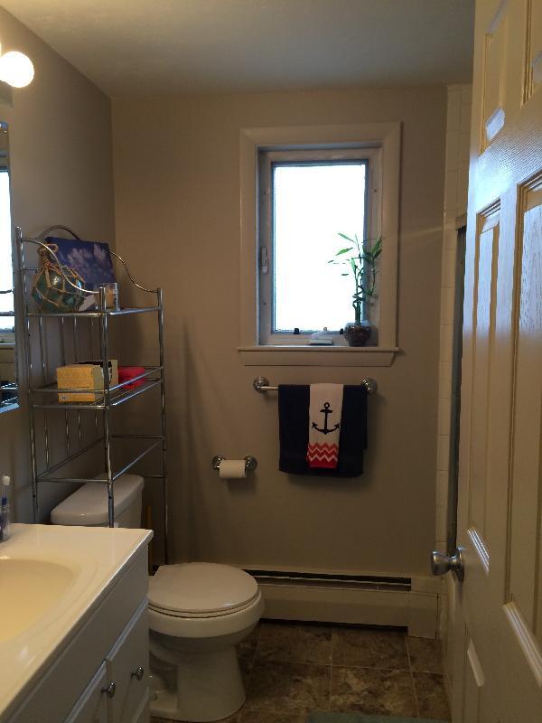 Bathroom recently updated - 4 Albert Dr