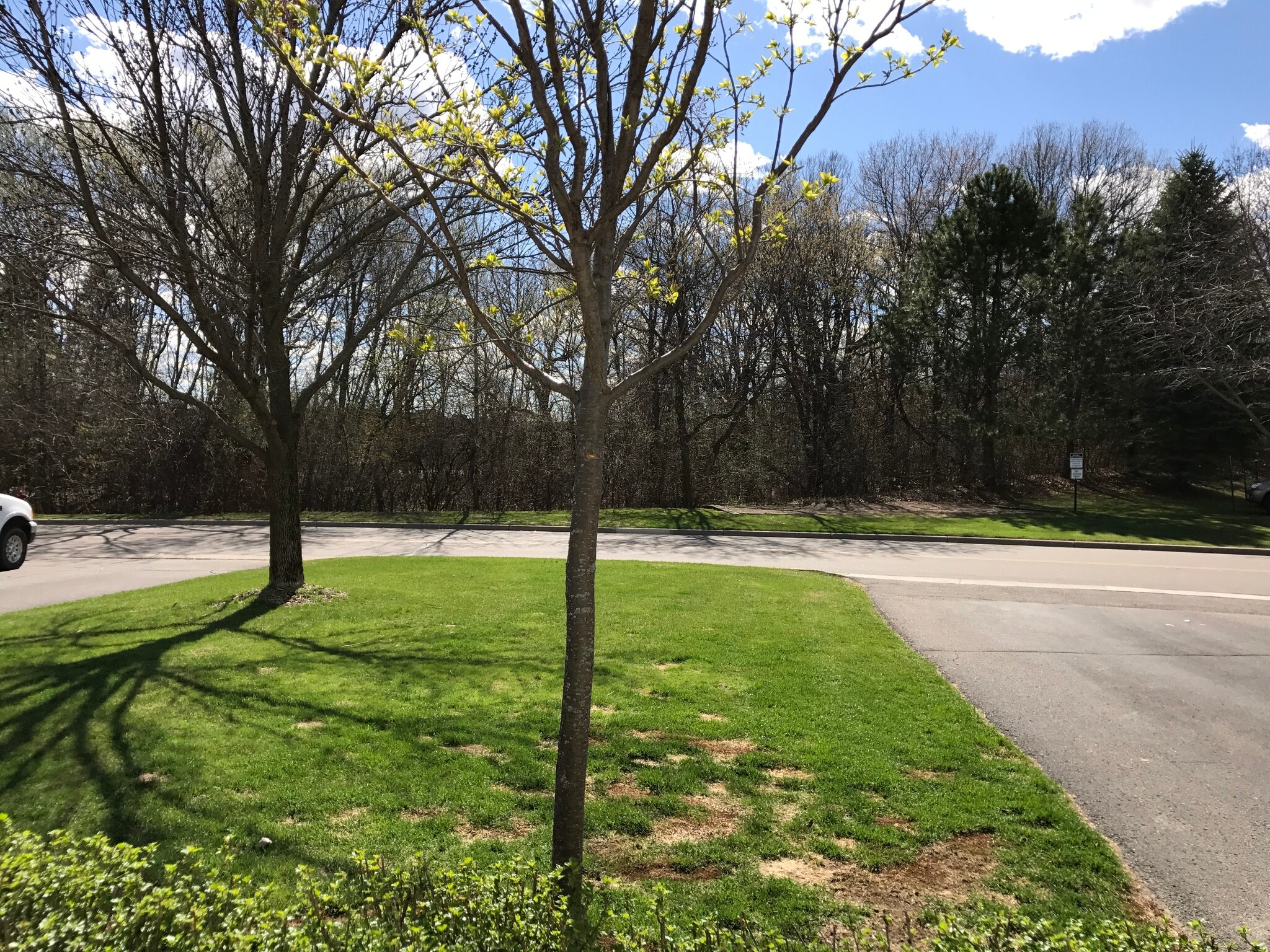 Building Photo - 14179 Plymouth Ave