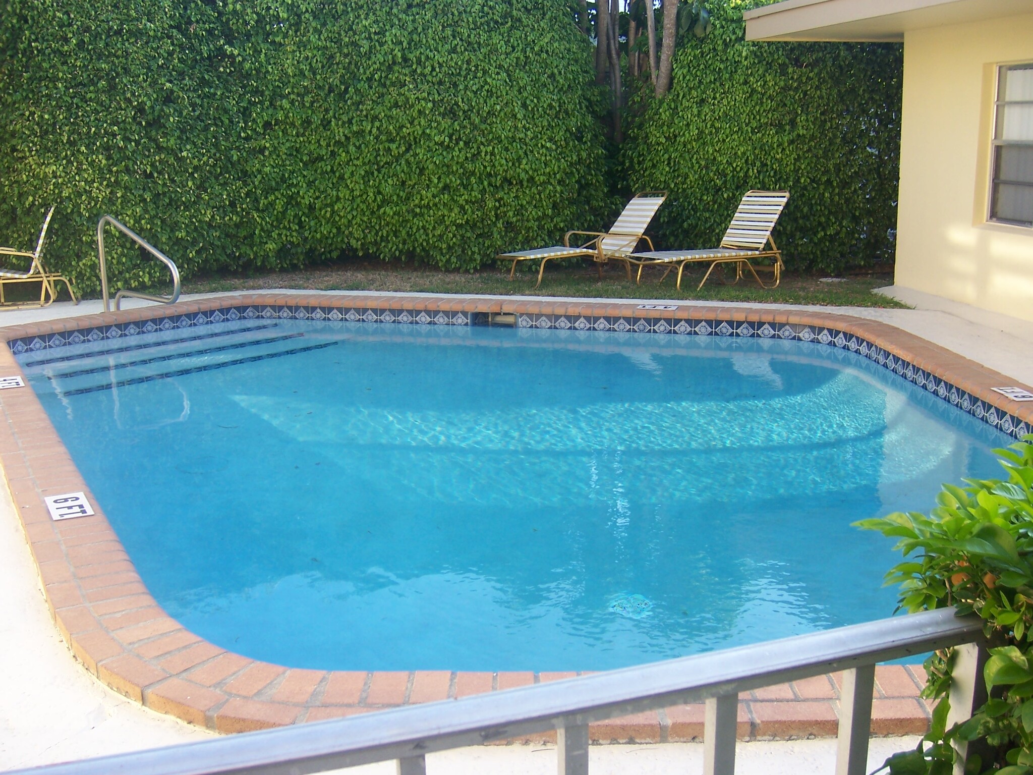 Cool Pool - 4532 Bougainvilla Dr