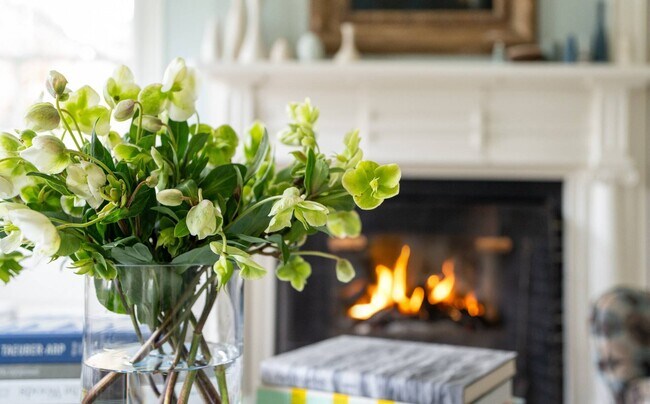 Building Photo - 20 Jefferson St