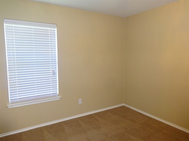 Building Photo - 313 Flowering Plum Ln
