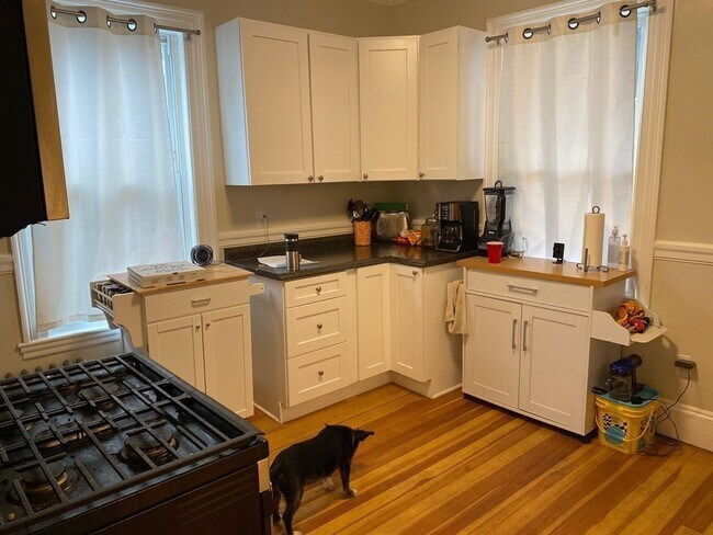 Primary Photo - 7 Carmel St