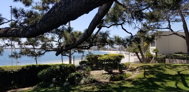 Building Photo - Mission Bay (Sail Bay) Crown Point 2bed 2bath 1625 sqft, Water View