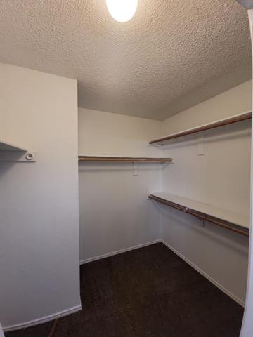 Building Photo - 10409 Pleasant Mound Dr