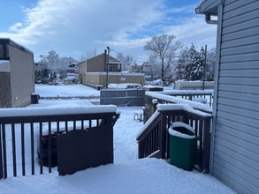 Building Photo - 230 Cumberland St