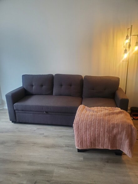 Living Room Couch - 535 N Michigan Ave