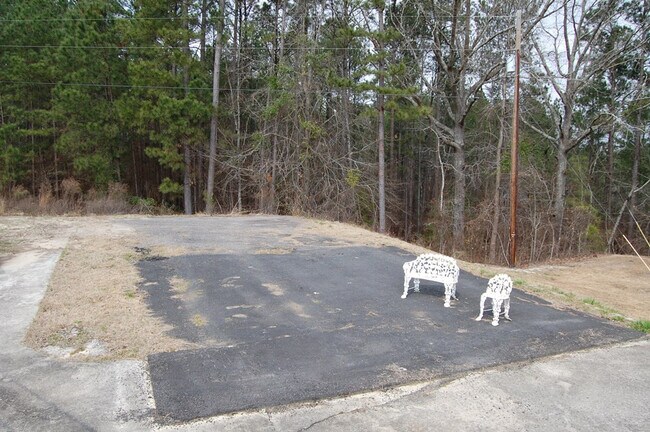 Building Photo - 123 Reedy Fork Rd