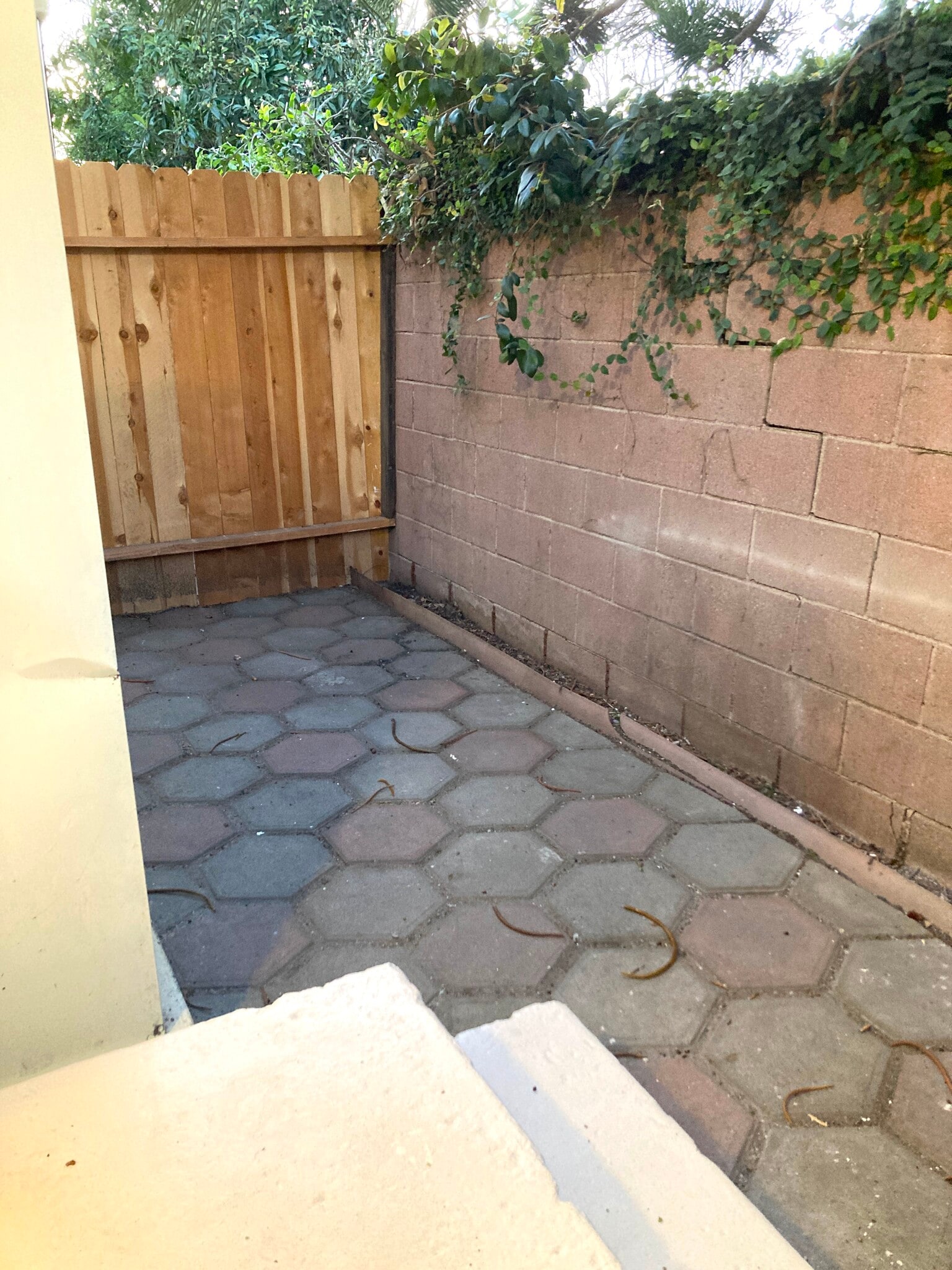 Building Photo - 1903 Delaware Ave