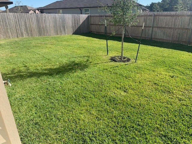 Building Photo - 203 Comal Dr