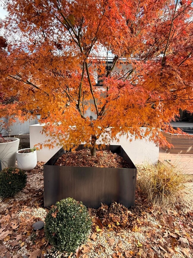 Building Photo - 204 Datura Dr