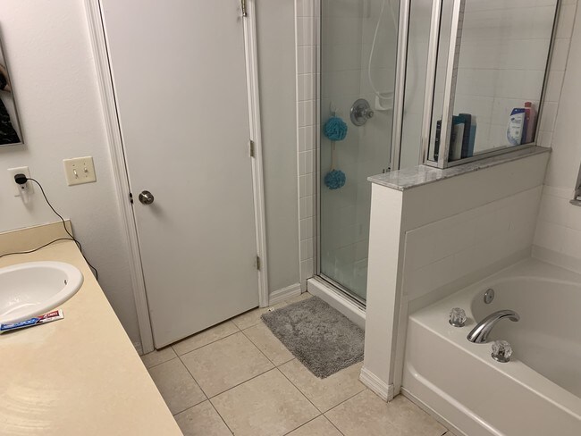 Master bath with shower and tub! - 212 Winter Nellis Cir