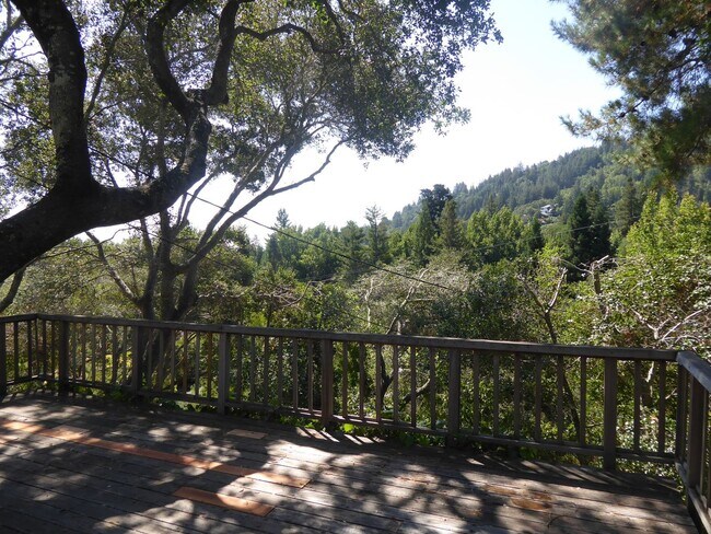 Building Photo - SPACIOUS AND SECLUDED THREE BED / TWO BATH...