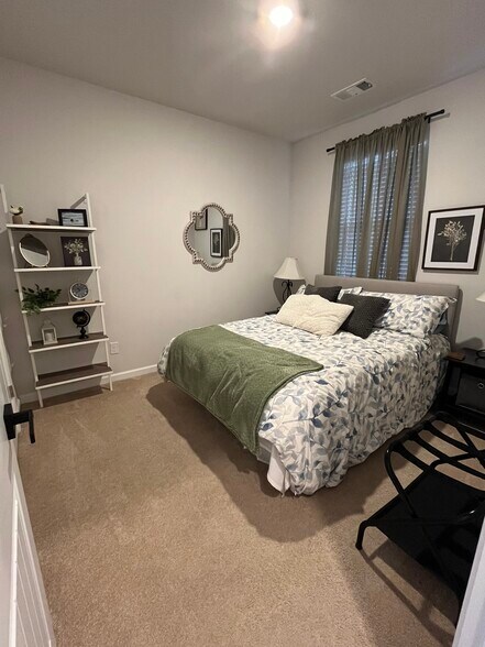 Downstairs bedroom with large walk-in closet - 223 Catherine Ln