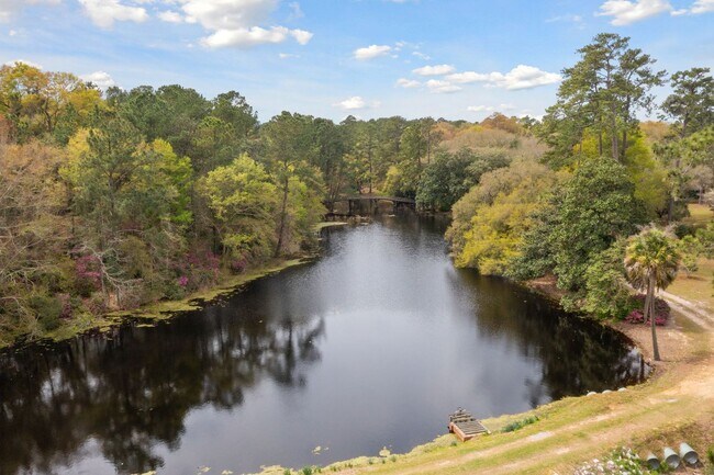 Building Photo - Historic Plantation Property on the Ashley River