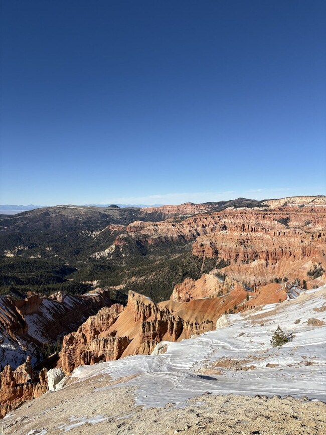 Building Photo - 220 Circle Dr