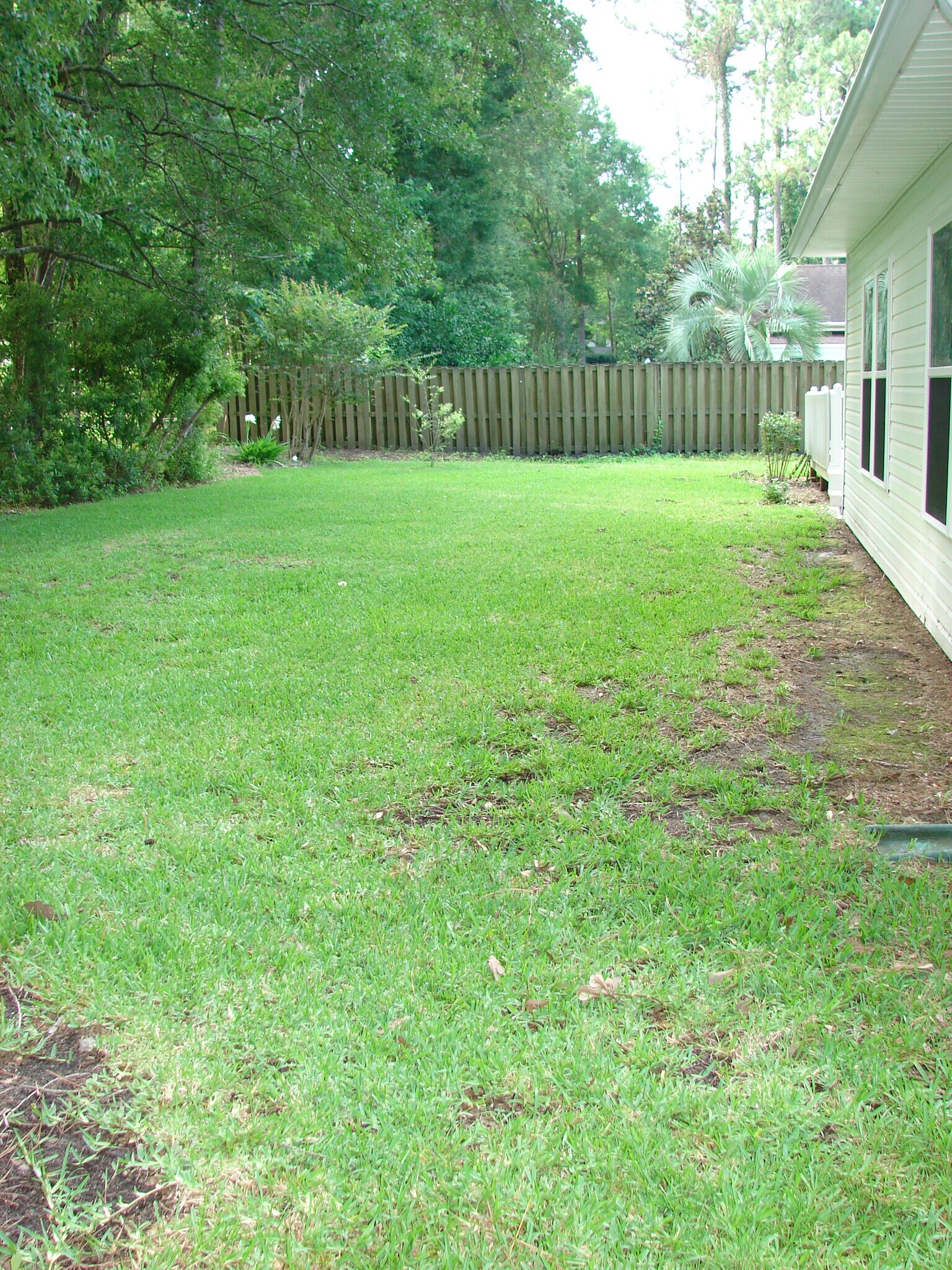 Back yard - 1847 Gibson Ave