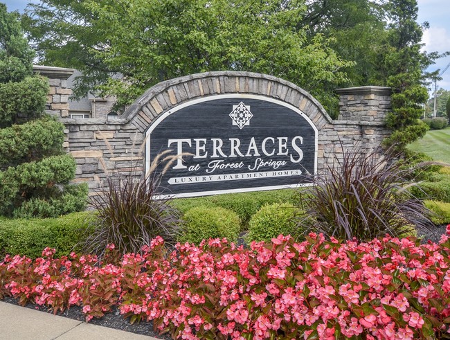 Primary Photo - Terraces at Forest Springs