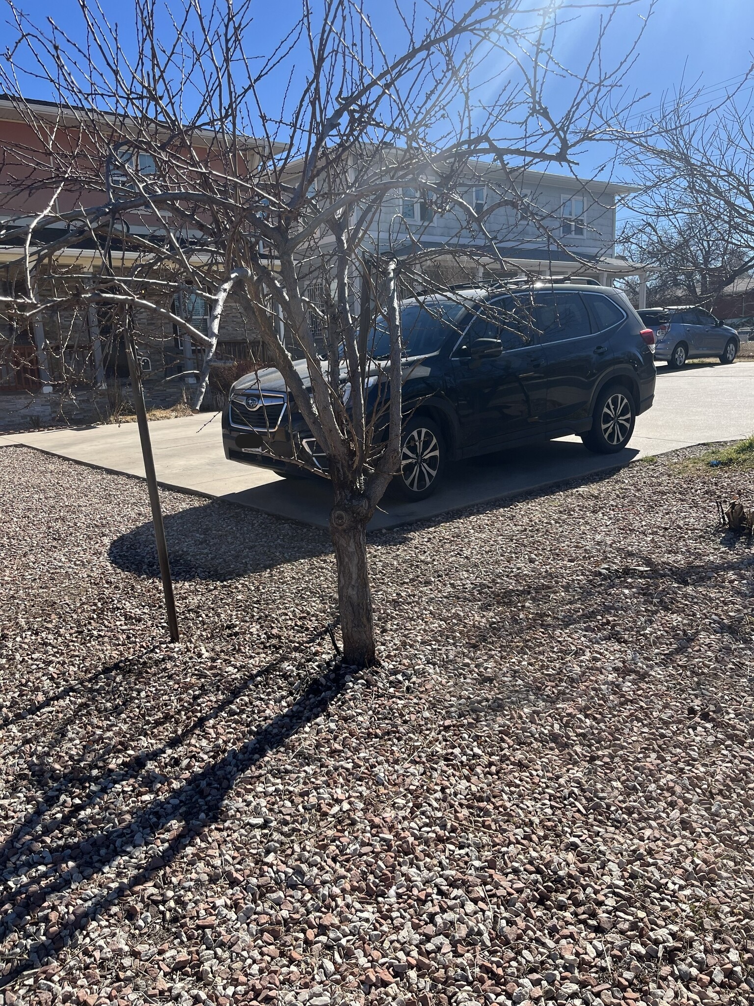 Building Photo - 708 Lowell Blvd