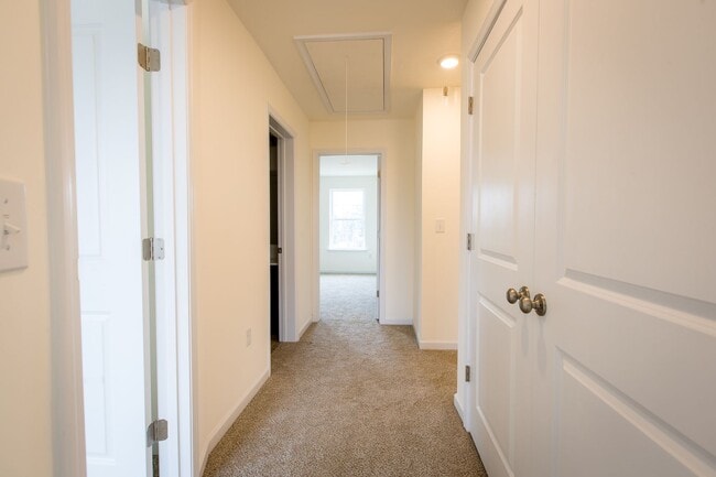 Building Photo - Luxury Duplexes