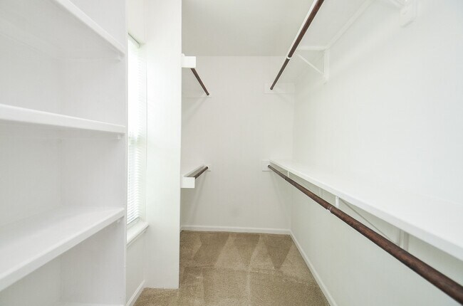 Building Photo - 13074 Trail Hollow Dr