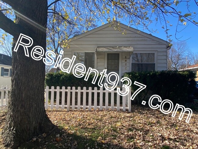 Primary Photo - 3 Bed 1 bath