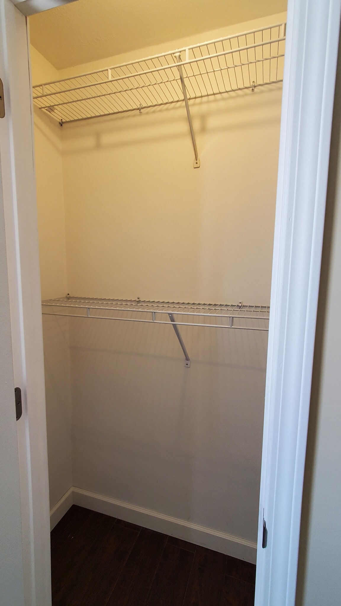 Bedroom 2 Closet - 149 Davis Ln