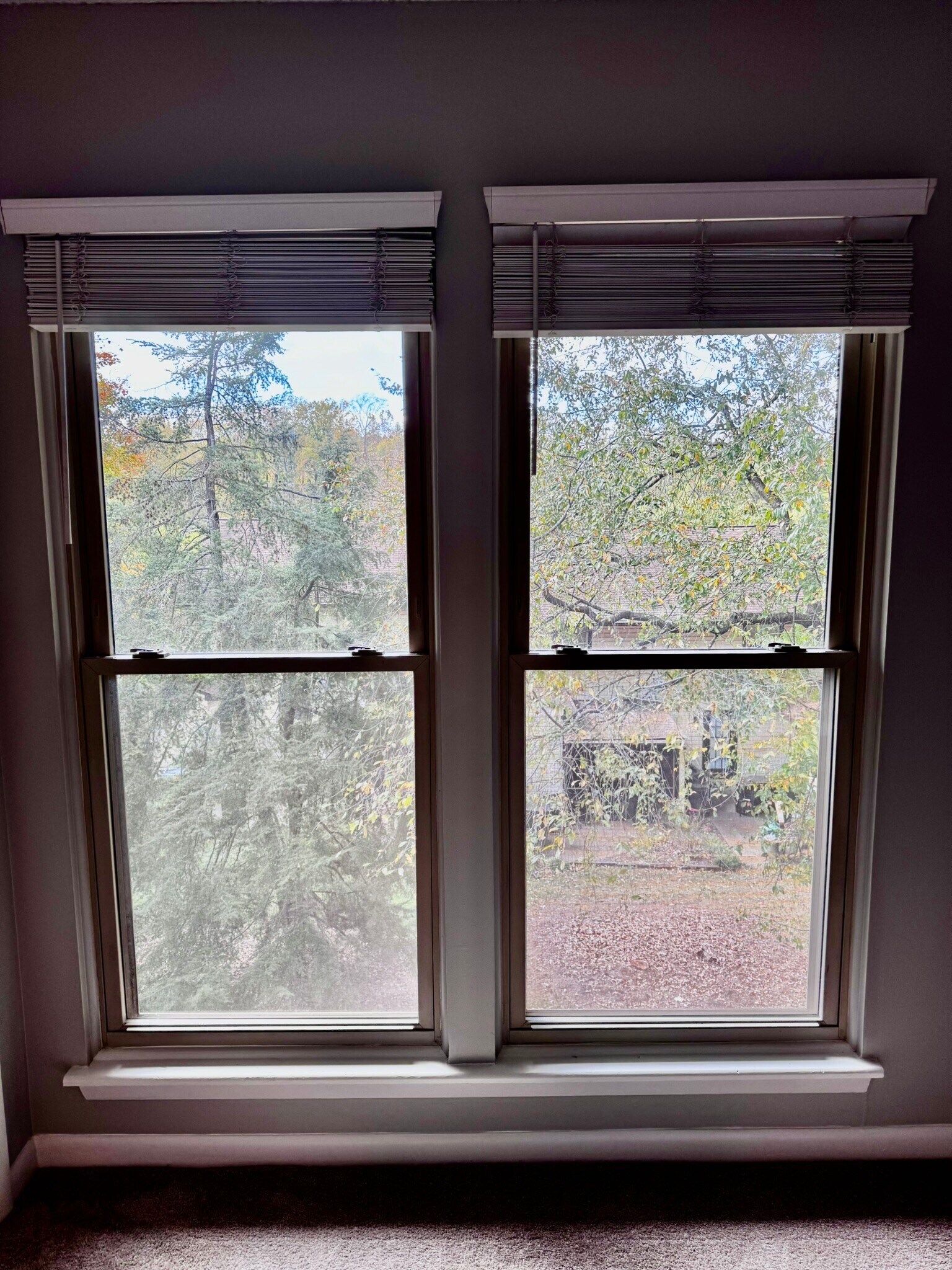View from master bedroom - 122 Turnwood Ln