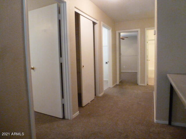 Building Photo - 40657 N Ancona Ct