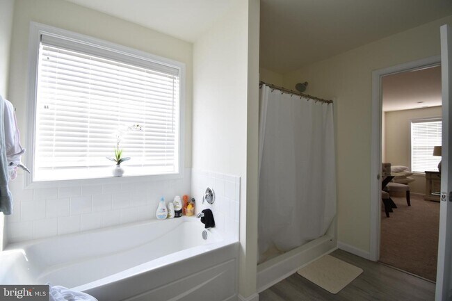 Building Photo - 84 Cilento Dr
