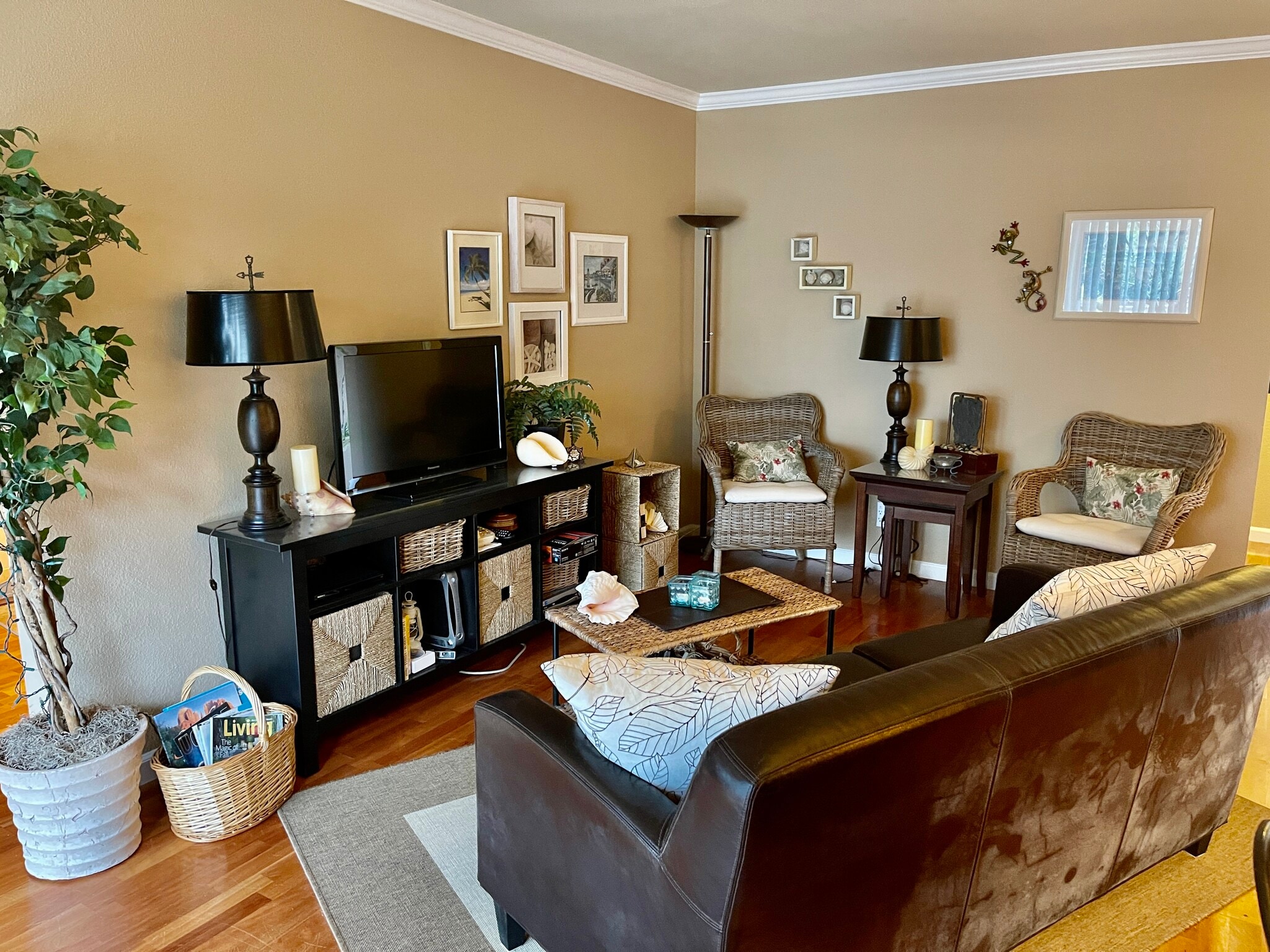 Living Room - 303 Masters Ct