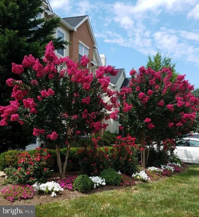 Building Photo - 4142 Fountainside Ln