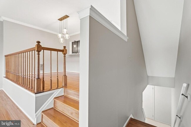 Building Photo - 41 Jones Falls Terrace