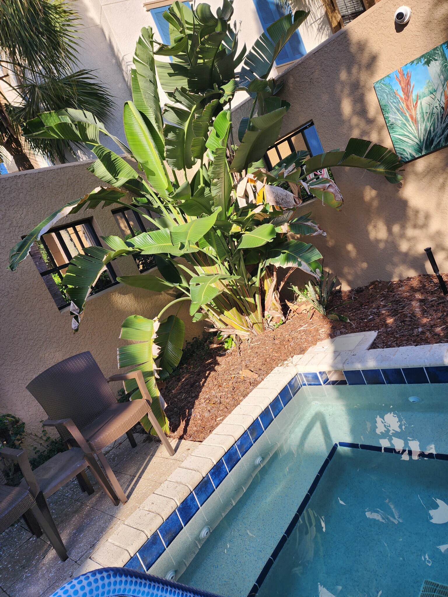 Building Photo - 12700 Bartram Park Blvd