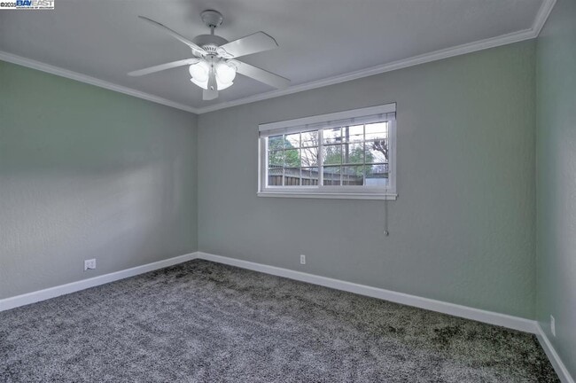 Building Photo - 623 Pineview Dr