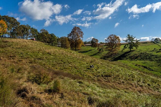 Building Photo - 299 Westview Dr