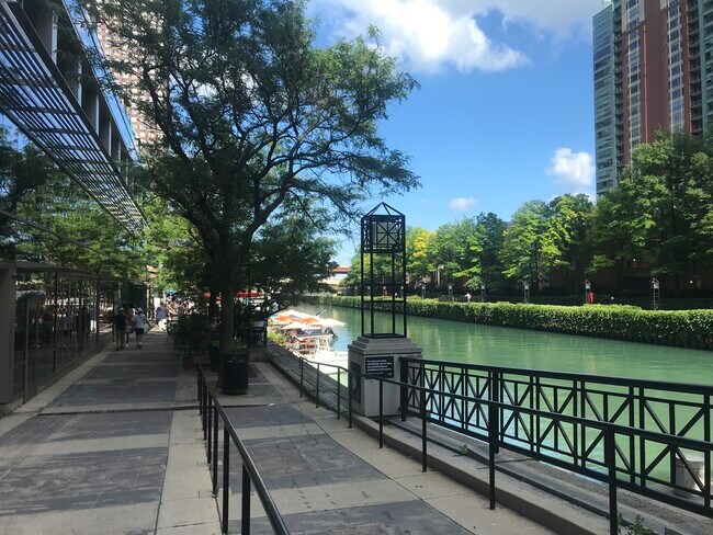 Building Photo - 480 N McClurg Ct