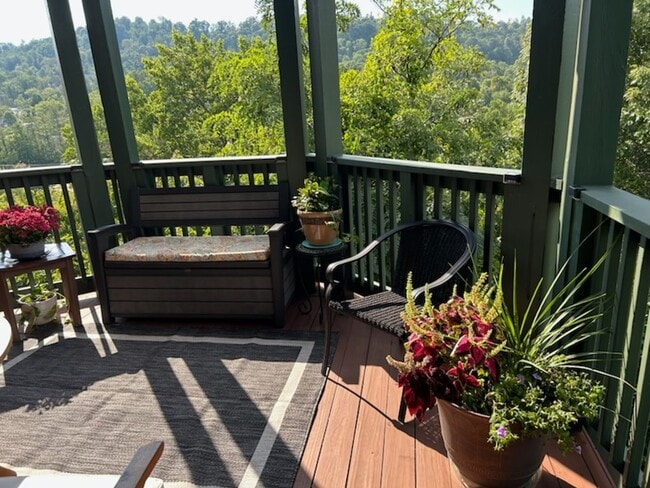 Building Photo - Asheville Furnished Rental!- Beaucatcher H...