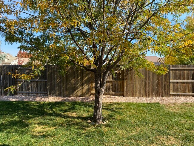 Building Photo - 1036 Willowcrest Dr