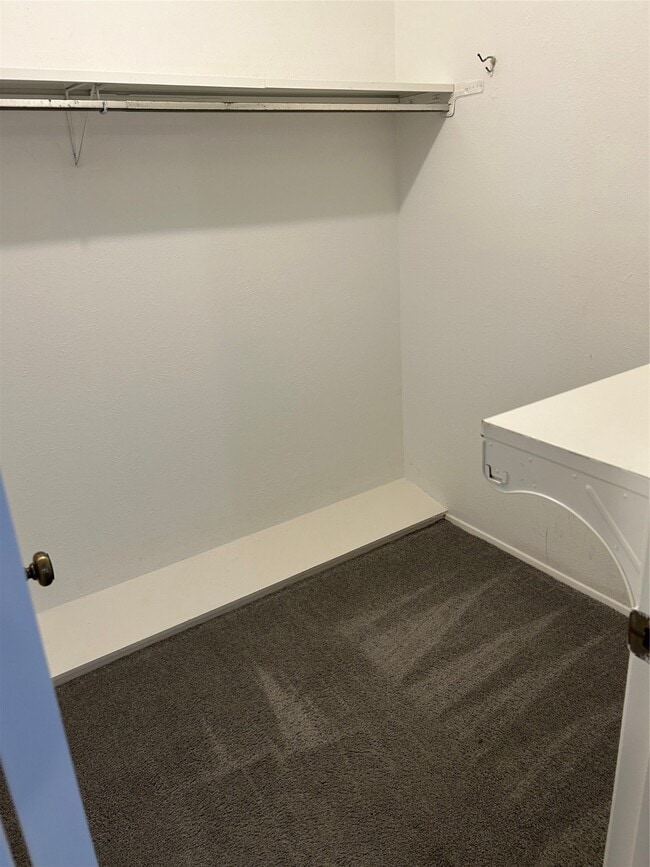 Building Photo - 3919 Coltwood Dr