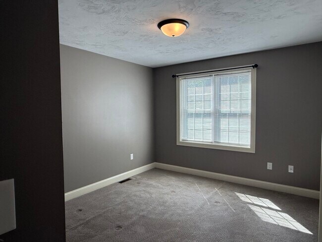 Building Photo - 10 Shamrock Ln
