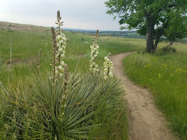 S. Table Mesa trail - 1547 Secrest Ct