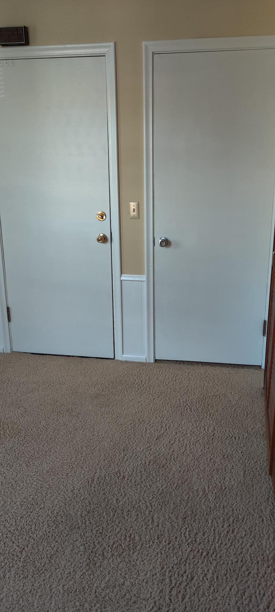 Entrance/Closet Doors - 2514 Girard Ave S