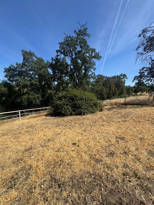Building Photo - 3 BEDROOM HOME IN COUNTRY SETTING