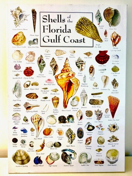 Building Photo - 519 Roma Ct