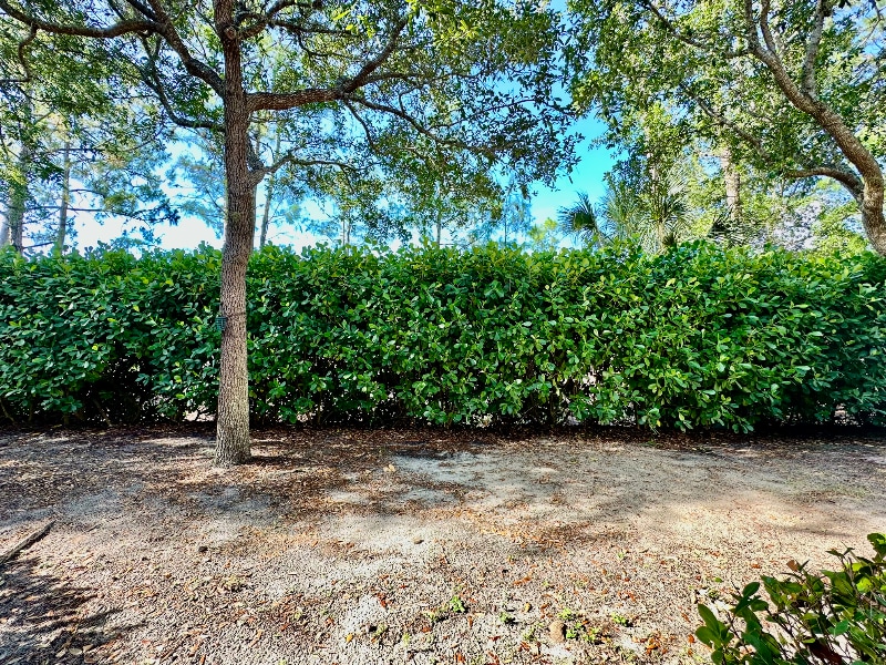 Building Photo - 1335 Mariposa Cir