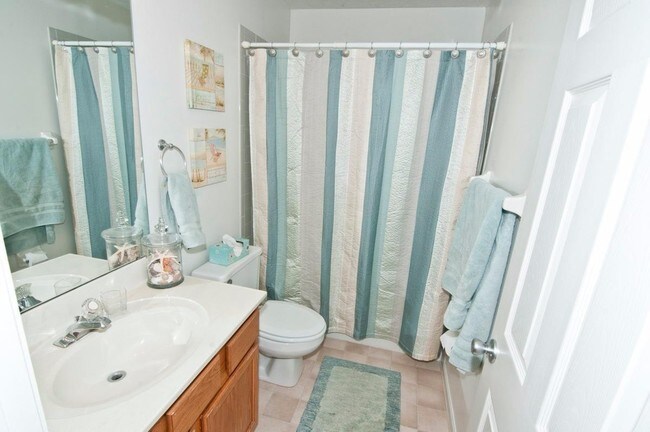 second bath - 1343 Sprucewood Ct