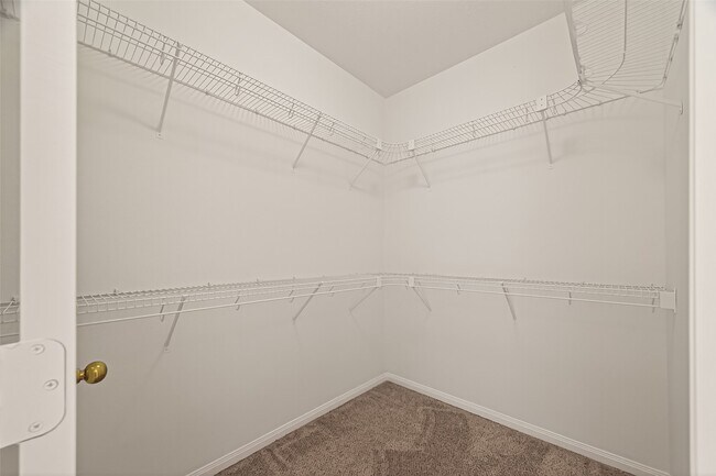 Building Photo - 3804 Dunlavy Dr