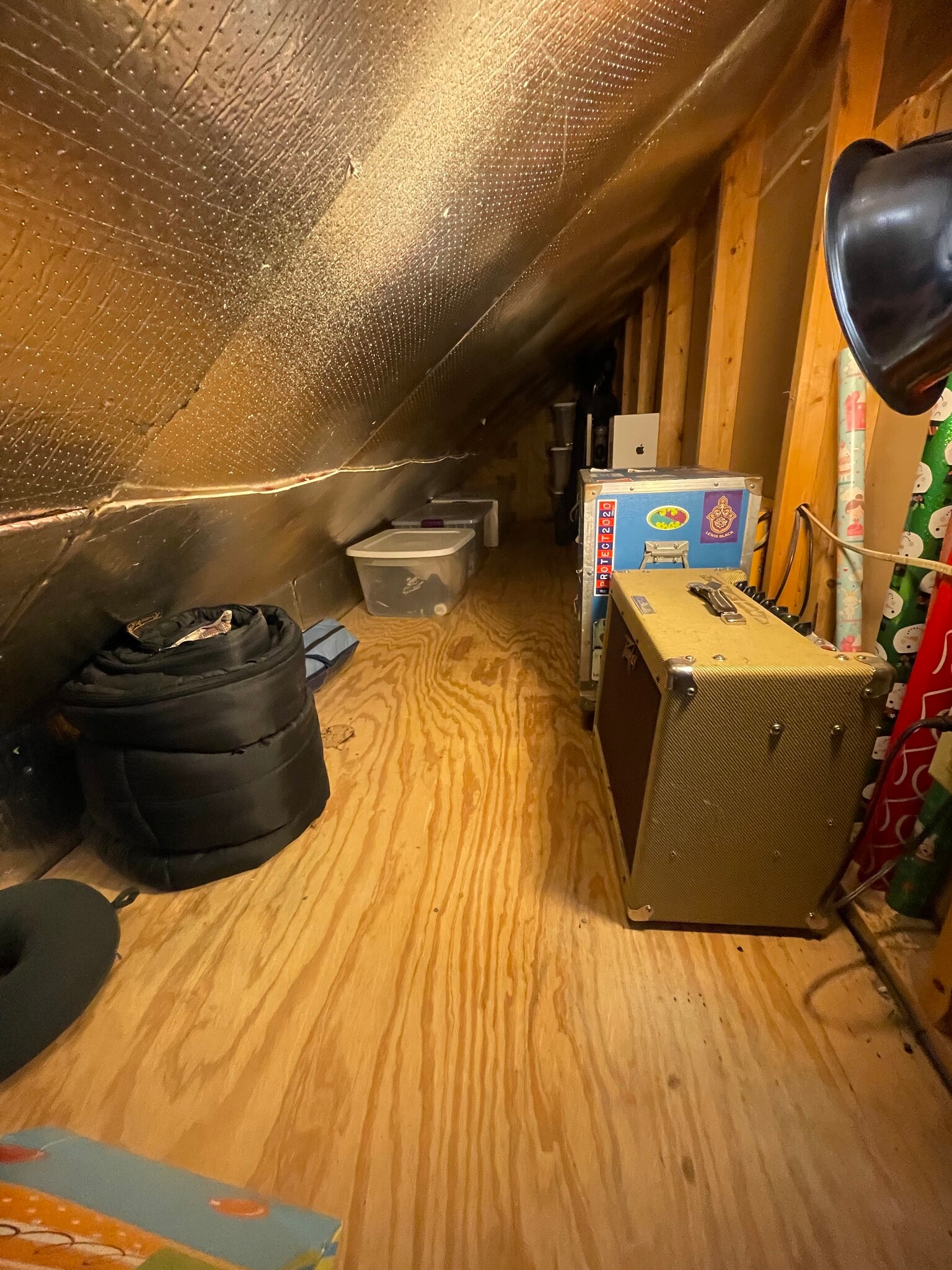 Attic Storage - 322 S 10th St